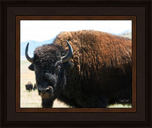 Load image into Gallery viewer, What Are You Looking At