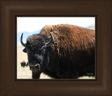 Load image into Gallery viewer, What Are You Looking At