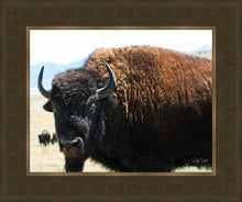 Load image into Gallery viewer, What Are You Looking At