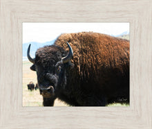 Load image into Gallery viewer, What Are You Looking At