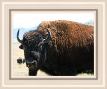 Load image into Gallery viewer, What Are You Looking At