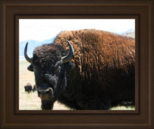 Load image into Gallery viewer, What Are You Looking At