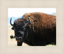 Load image into Gallery viewer, What Are You Looking At