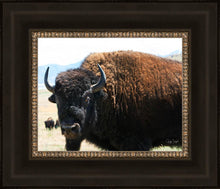 Load image into Gallery viewer, What Are You Looking At
