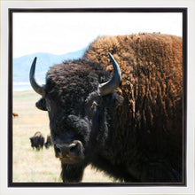 Load image into Gallery viewer, What Are You Looking At