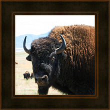 Load image into Gallery viewer, What Are You Looking At
