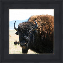 Load image into Gallery viewer, What Are You Looking At