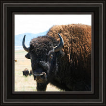 Load image into Gallery viewer, What Are You Looking At
