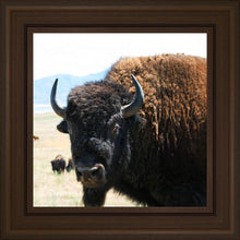 Load image into Gallery viewer, What Are You Looking At