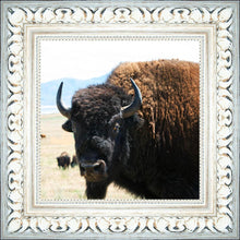 Load image into Gallery viewer, What Are You Looking At