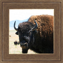Load image into Gallery viewer, What Are You Looking At