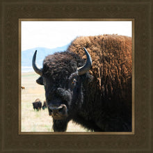 Load image into Gallery viewer, What Are You Looking At