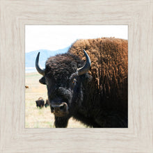 Load image into Gallery viewer, What Are You Looking At