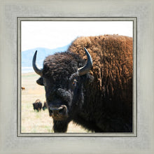 Load image into Gallery viewer, What Are You Looking At