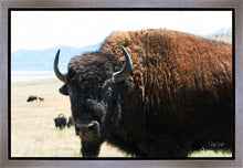 Load image into Gallery viewer, What Are You Looking At