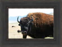 Load image into Gallery viewer, What Are You Looking At