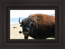 Load image into Gallery viewer, What Are You Looking At