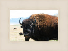 Load image into Gallery viewer, What Are You Looking At