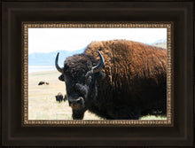 Load image into Gallery viewer, What Are You Looking At