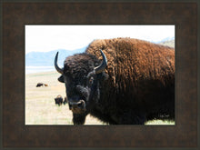 Load image into Gallery viewer, What Are You Looking At