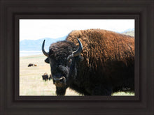 Load image into Gallery viewer, What Are You Looking At