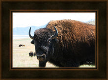 Load image into Gallery viewer, What Are You Looking At