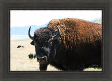 Load image into Gallery viewer, What Are You Looking At