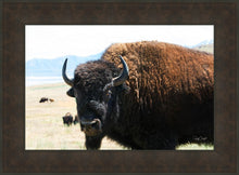 Load image into Gallery viewer, What Are You Looking At