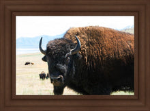 Load image into Gallery viewer, What Are You Looking At