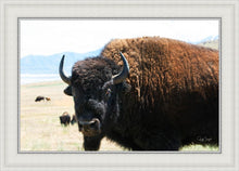 Load image into Gallery viewer, What Are You Looking At