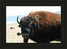 Load image into Gallery viewer, What Are You Looking At