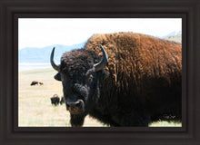 Load image into Gallery viewer, What Are You Looking At