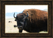 Load image into Gallery viewer, What Are You Looking At