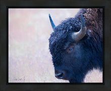 Load image into Gallery viewer, Coming Of Age