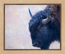 Load image into Gallery viewer, Coming Of Age