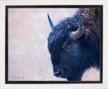 Load image into Gallery viewer, Coming Of Age