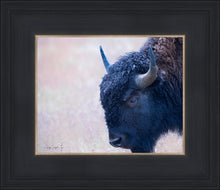 Load image into Gallery viewer, Coming Of Age