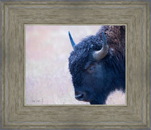Load image into Gallery viewer, Coming Of Age