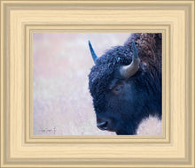 Load image into Gallery viewer, Coming Of Age