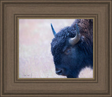 Load image into Gallery viewer, Coming Of Age