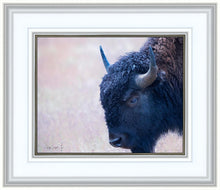 Load image into Gallery viewer, Coming Of Age