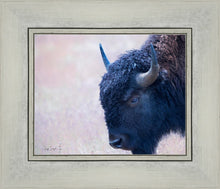 Load image into Gallery viewer, Coming Of Age