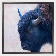 Load image into Gallery viewer, Coming Of Age