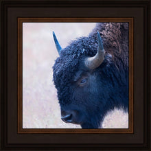 Load image into Gallery viewer, Coming Of Age