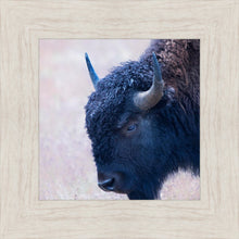 Load image into Gallery viewer, Coming Of Age