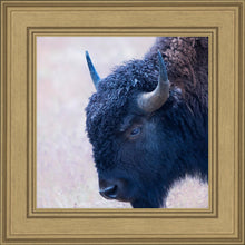 Load image into Gallery viewer, Coming Of Age