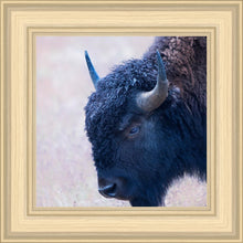 Load image into Gallery viewer, Coming Of Age