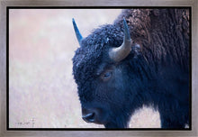 Load image into Gallery viewer, Coming Of Age