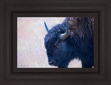 Load image into Gallery viewer, Coming Of Age