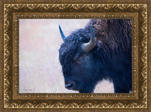 Load image into Gallery viewer, Coming Of Age